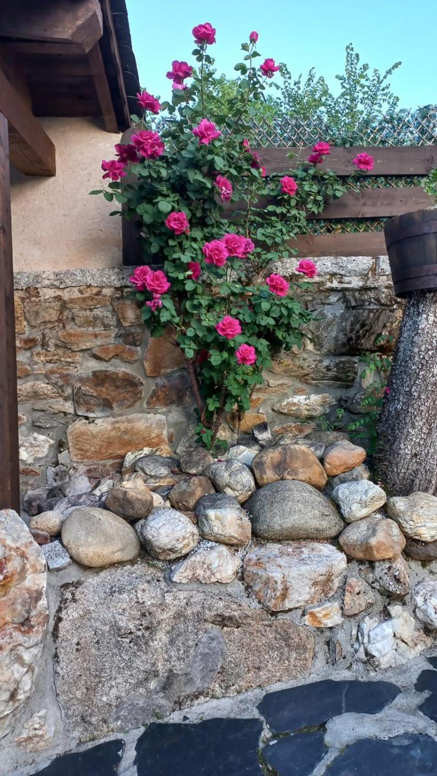 Gasthaus Casa Del Cura Rozas Exterior foto